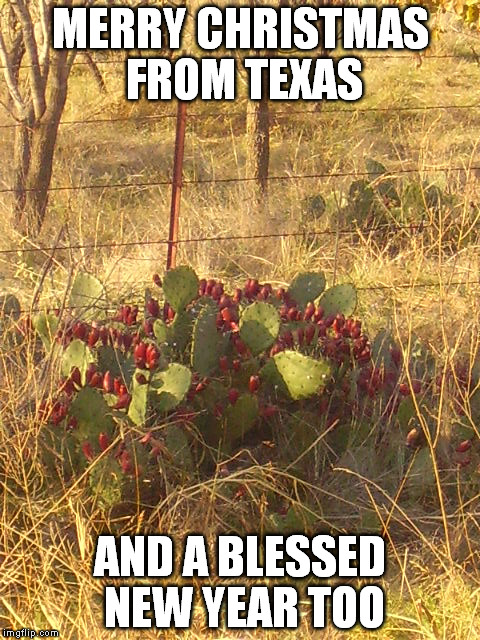 MERRY CHRISTMAS FROM TEXAS AND A BLESSED NEW YEAR TOO | image tagged in christmas,texas | made w/ Imgflip meme maker