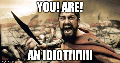 Sparta Leonidas | YOU! ARE! AN IDIOT!!!!!!! | image tagged in memes,sparta leonidas | made w/ Imgflip meme maker