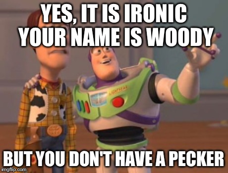 X, X Everywhere | YES, IT IS IRONIC YOUR NAME IS WOODY BUT YOU DON'T HAVE A PECKER | image tagged in memes,x x everywhere | made w/ Imgflip meme maker