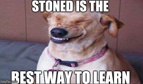 STONED IS THE BEST WAY TO LEARN | made w/ Imgflip meme maker