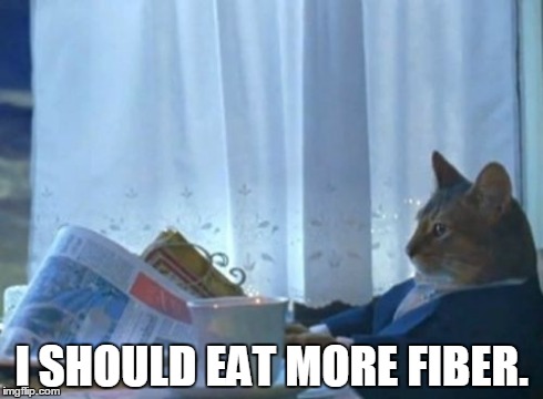 I Should Buy A Boat Cat Meme | I SHOULD EAT MORE FIBER. | image tagged in memes,i should buy a boat cat,AdviceAnimals | made w/ Imgflip meme maker