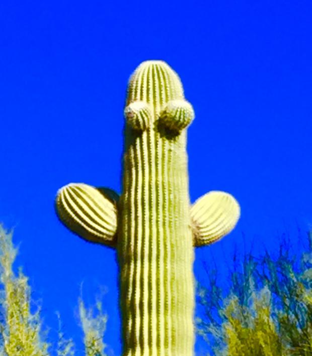 Huggy Cactus  Blank Meme Template