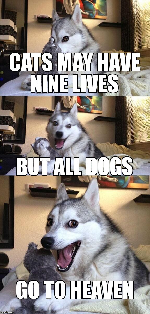 Bad Pun Dog Meme | CATS MAY HAVE NINE LIVES BUT ALL DOGS GO TO HEAVEN | image tagged in memes,bad pun dog | made w/ Imgflip meme maker