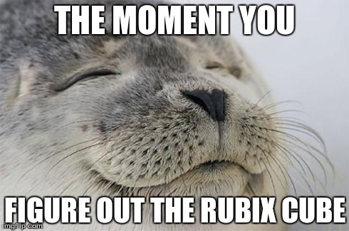 Satisfied Seal | THE MOMENT YOU FIGURE OUT THE RUBIX CUBE | image tagged in memes,satisfied seal | made w/ Imgflip meme maker