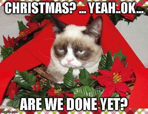 Grumpy Cat Mistletoe Meme | CHRISTMAS? ... YEAH..OK... ARE WE DONE YET? | image tagged in memes,grumpy cat mistletoe,grumpy cat | made w/ Imgflip meme maker
