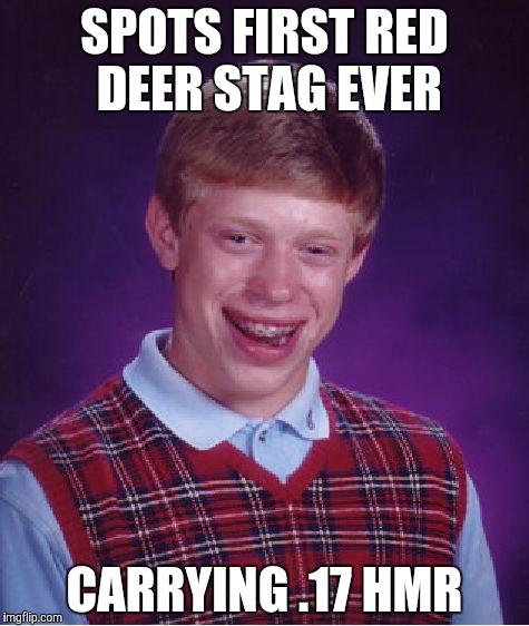 Bad Luck Brian Meme | SPOTS FIRST RED DEER STAG EVER CARRYING .17 HMR | image tagged in memes,bad luck brian,Hunting | made w/ Imgflip meme maker