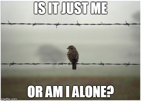 Lonely Bird | IS IT JUST ME OR AM I ALONE? | image tagged in lonely bird,AdviceAnimals | made w/ Imgflip meme maker