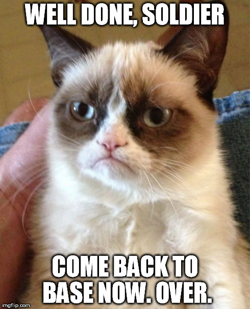 Grumpy Cat Meme | WELL DONE, SOLDIER COME BACK TO BASE NOW. OVER. | image tagged in memes,grumpy cat | made w/ Imgflip meme maker