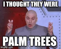 Dr Evil Laser | I THOUGHT THEY WERE PALM TREES | image tagged in memes,dr evil laser | made w/ Imgflip meme maker