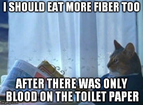 I Should Buy A Boat Cat Meme | I SHOULD EAT MORE FIBER TOO AFTER THERE WAS ONLY BLOOD ON THE TOILET PAPER | image tagged in memes,i should buy a boat cat | made w/ Imgflip meme maker