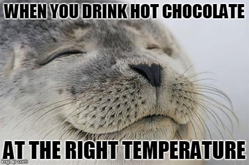 Satisfied Seal | WHEN YOU DRINK HOT CHOCOLATE AT THE RIGHT TEMPERATURE | image tagged in memes,satisfied seal | made w/ Imgflip meme maker