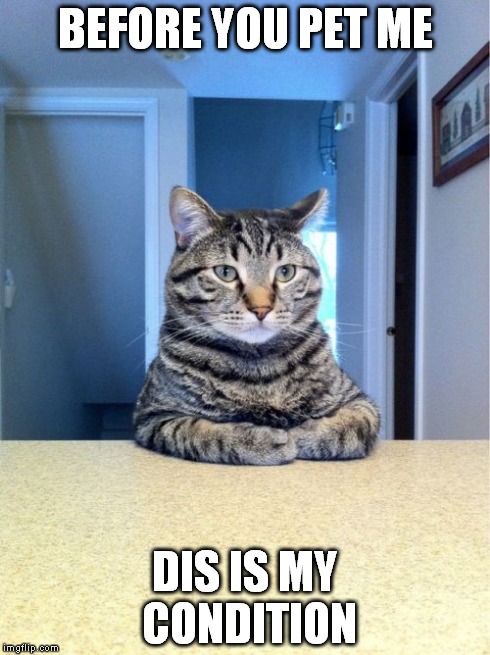 Take A Seat Cat | BEFORE YOU PET ME DIS IS MY CONDITION | image tagged in memes,take a seat cat | made w/ Imgflip meme maker