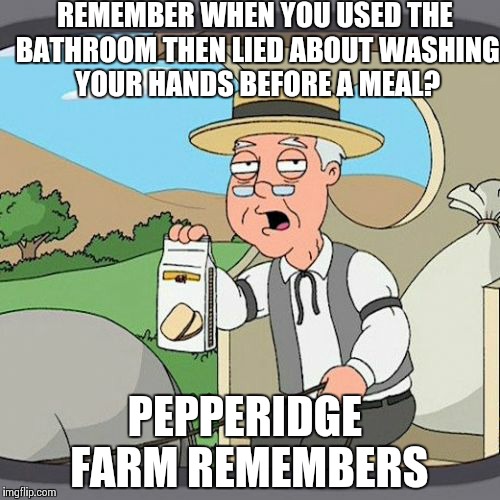 Pepperidge Farm Remembers Meme | REMEMBER WHEN YOU USED THE BATHROOM THEN LIED ABOUT WASHING YOUR HANDS BEFORE A MEAL? PEPPERIDGE FARM REMEMBERS | image tagged in memes,pepperidge farm remembers | made w/ Imgflip meme maker