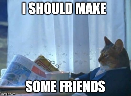 I Should Buy A Boat Cat Meme | I SHOULD MAKE SOME FRIENDS | image tagged in memes,i should buy a boat cat,funny | made w/ Imgflip meme maker
