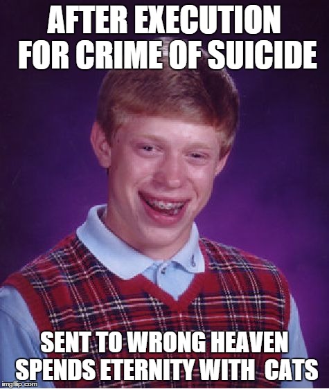 Bad Luck Brian Meme | AFTER EXECUTION FOR CRIME OF SUICIDE SENT TO WRONG HEAVEN SPENDS ETERNITY WITH  CATS | image tagged in memes,bad luck brian | made w/ Imgflip meme maker