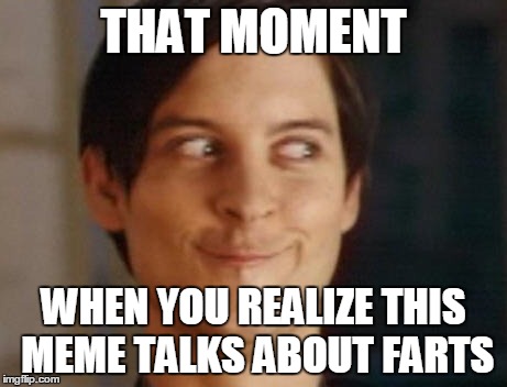 Fart Humor...Fart Humor Everywhere | THAT MOMENT WHEN YOU REALIZE THIS MEME TALKS ABOUT FARTS | image tagged in memes,spiderman peter parker,farts | made w/ Imgflip meme maker