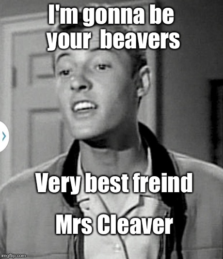 Rod Lee | I'm gonna be your beavers Mrs Cleaver Very best freind | image tagged in memes | made w/ Imgflip meme maker