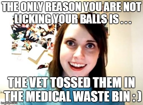 THE ONLY REASON YOU ARE NOT LICKING YOUR BALLS IS . . . THE VET TOSSED THEM IN THE MEDICAL WASTE BIN : ) | image tagged in memes,overly attached girlfriend | made w/ Imgflip meme maker