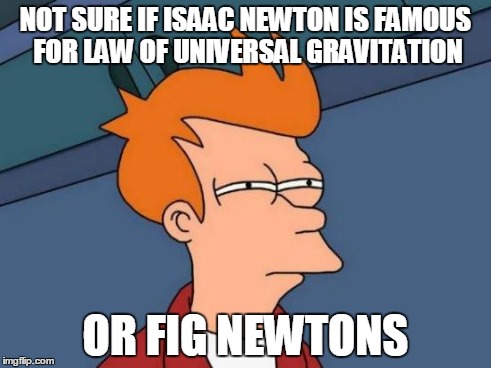 Futurama Fry Meme | NOT SURE IF ISAAC NEWTON IS FAMOUS FOR LAW OF UNIVERSAL GRAVITATION OR FIG NEWTONS | image tagged in memes,futurama fry | made w/ Imgflip meme maker