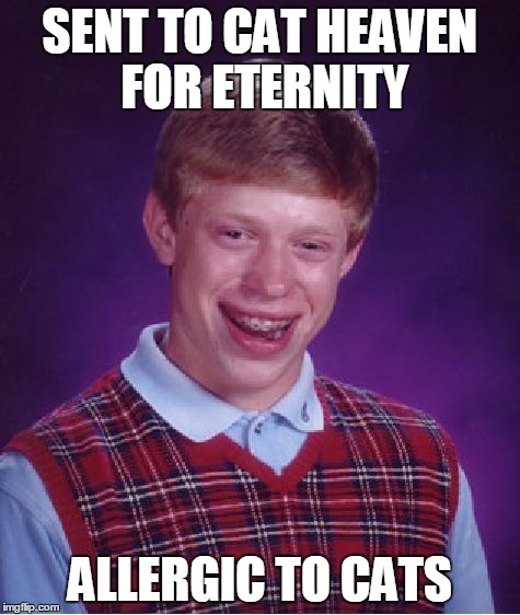 Bad Luck Brian Meme | SENT TO CAT HEAVEN FOR ETERNITY ALLERGIC TO CATS | image tagged in memes,bad luck brian | made w/ Imgflip meme maker