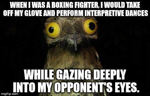 You wouldn't want to be my opponent... | WHEN I WAS A BOXING FIGHTER, I WOULD TAKE OFF MY GLOVE AND PERFORM INTERPRETIVE DANCES WHILE GAZING DEEPLY INTO MY OPPONENT'S EYES. | image tagged in memes,weird stuff i do potoo | made w/ Imgflip meme maker