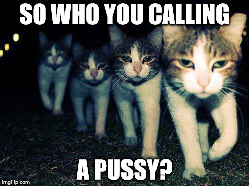 Ain't talking shit now are you? | SO WHO YOU CALLING A PUSSY? | image tagged in memes,wrong neighboorhood cats | made w/ Imgflip meme maker