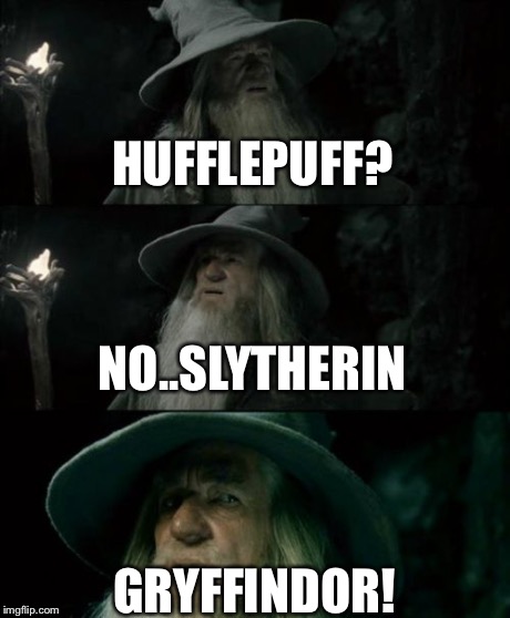 Confused Gandalf Meme | HUFFLEPUFF? NO..SLYTHERIN GRYFFINDOR! | image tagged in memes,confused gandalf | made w/ Imgflip meme maker