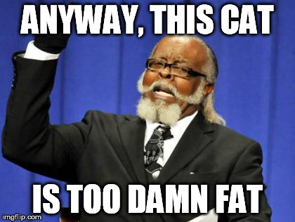Too Damn High Meme | ANYWAY, THIS CAT IS TOO DAMN FAT | image tagged in memes,too damn high | made w/ Imgflip meme maker