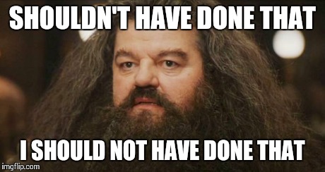 Hagrid | SHOULDN'T HAVE DONE THAT I SHOULD NOT HAVE DONE THAT | image tagged in hagrid,AdviceAnimals | made w/ Imgflip meme maker