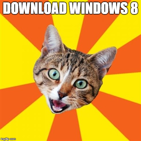 Bad Advice Cat | DOWNLOAD WINDOWS 8 | image tagged in memes,bad advice cat | made w/ Imgflip meme maker