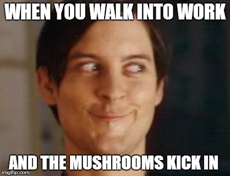 Spiderman Peter Parker | WHEN YOU WALK INTO WORK AND THE MUSHROOMS KICK IN | image tagged in memes,spiderman peter parker | made w/ Imgflip meme maker