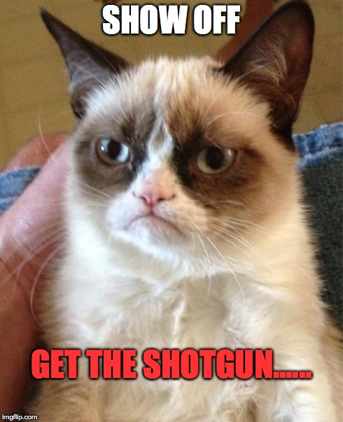 Grumpy Cat Meme | SHOW OFF GET THE SHOTGUN...... | image tagged in memes,grumpy cat | made w/ Imgflip meme maker