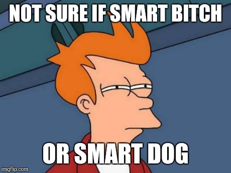 Futurama Fry Meme | NOT SURE IF SMART B**CH OR SMART DOG | image tagged in memes,futurama fry | made w/ Imgflip meme maker