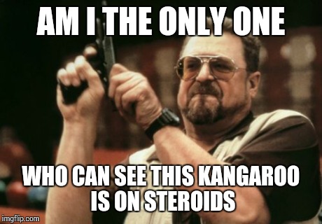 Am I The Only One Around Here Meme | AM I THE ONLY ONE WHO CAN SEE THIS KANGAROO IS ON STEROIDS | image tagged in memes,am i the only one around here | made w/ Imgflip meme maker