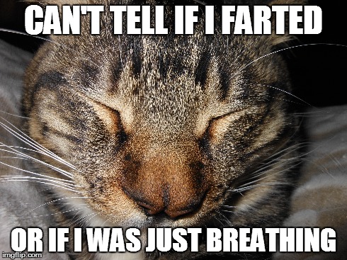 everyday | CAN'T TELL IF I FARTED OR IF I WAS JUST BREATHING | image tagged in the struggle | made w/ Imgflip meme maker