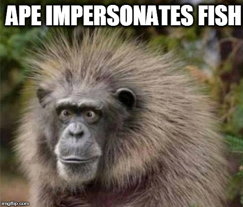 Fish  | APE IMPERSONATES FISH | image tagged in barney miller,stunned | made w/ Imgflip meme maker