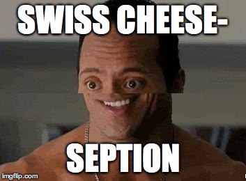 SWISS CHEESE- SEPTION | image tagged in the rock | made w/ Imgflip meme maker