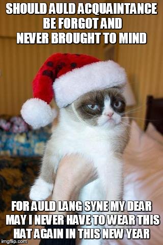 For Auld Lang Syne My Dear | SHOULD AULD ACQUAINTANCE BE FORGOT
AND NEVER BROUGHT TO MIND FOR AULD LANG SYNE MY DEAR MAY I NEVER HAVE TO WEAR THIS HAT AGAIN IN THIS NEW  | image tagged in memes,grumpy cat christmas,grumpy cat | made w/ Imgflip meme maker