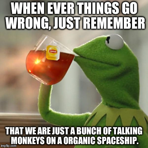 But That's None Of My Business Meme | WHEN EVER THINGS GO WRONG, JUST REMEMBER THAT WE ARE JUST A BUNCH OF TALKING MONKEYS ON A ORGANIC SPACESHIP. | image tagged in memes,but thats none of my business,kermit the frog | made w/ Imgflip meme maker