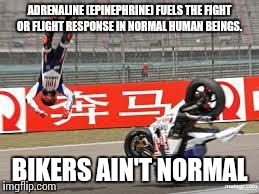 Bikers ain't normal | ADRENALINE (EPINEPHRINE) FUELS THE FIGHT OR FLIGHT RESPONSE IN NORMAL HUMAN BEINGS. BIKERS AIN'T NORMAL | image tagged in bike fail | made w/ Imgflip meme maker