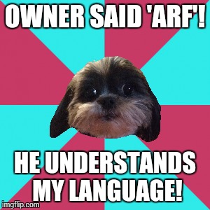 Sudden Realization Dog | OWNER SAID 'ARF'! HE UNDERSTANDS MY LANGUAGE! | image tagged in sudden realization dog,sudden realization,dogs,funny,memes | made w/ Imgflip meme maker