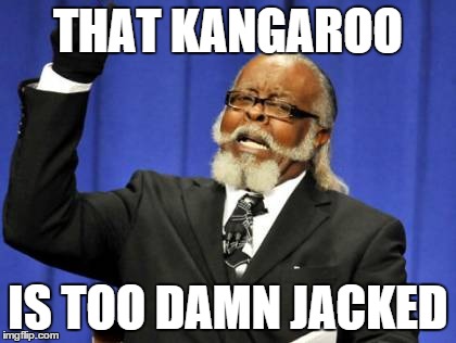 Too Damn High Meme | THAT KANGAROO IS TOO DAMN JACKED | image tagged in memes,too damn high | made w/ Imgflip meme maker