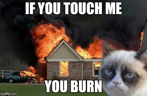 Burn Kitty | IF YOU TOUCH ME YOU BURN | image tagged in memes,burn kitty | made w/ Imgflip meme maker