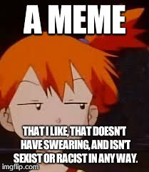 Derp Face Misty | A MEME THAT I LIKE, THAT DOESN'T HAVE SWEARING, AND ISN'T SEXIST OR RACIST IN ANY WAY. | image tagged in derp face misty | made w/ Imgflip meme maker