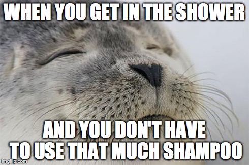 Satisfied Seal Meme | WHEN YOU GET IN THE SHOWER AND YOU DON'T HAVE TO USE THAT MUCH SHAMPOO | image tagged in memes,satisfied seal,AdviceAnimals | made w/ Imgflip meme maker
