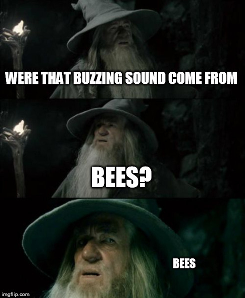 Confused Gandalf | WERE THAT BUZZING SOUND COME FROM BEES? BEES | image tagged in memes,confused gandalf | made w/ Imgflip meme maker