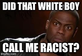 Kevin Hart | DID THAT WHITE BOY CALL ME RACIST? | image tagged in memes,kevin hart the hell | made w/ Imgflip meme maker