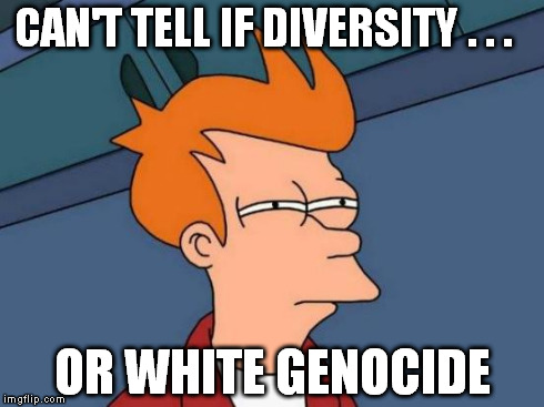 Futurama Fry Meme | CAN'T TELL IF DIVERSITY . . . OR WHITE GENOCIDE | image tagged in memes,futurama fry | made w/ Imgflip meme maker