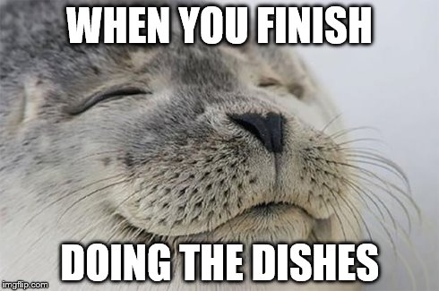 Satisfied Seal | WHEN YOU FINISH DOING THE DISHES | image tagged in memes,satisfied seal | made w/ Imgflip meme maker