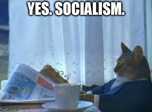 I Should Buy A Boat Cat Meme | YES. SOCIALISM. | image tagged in memes,i should buy a boat cat | made w/ Imgflip meme maker